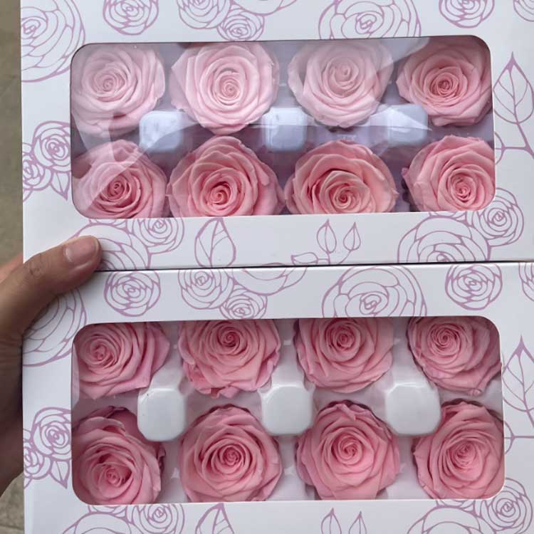 Preserved Roses4