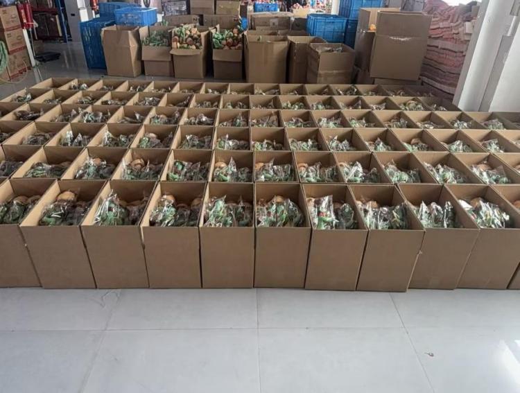 USB Dancing Cactus price